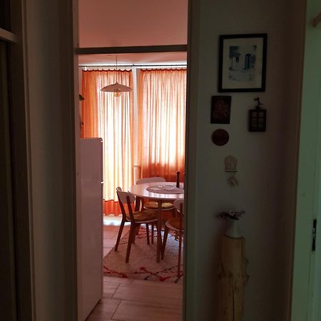 Apartmani Nina 塞拉耶佛 外观 照片
